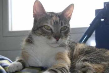 Anabel Bild von Anabel