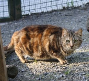 Fiona Bild von Fiona