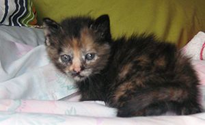 Bild von Eva