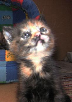 Bild von Eva