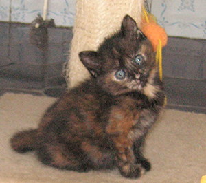 Clara Bild von Clara