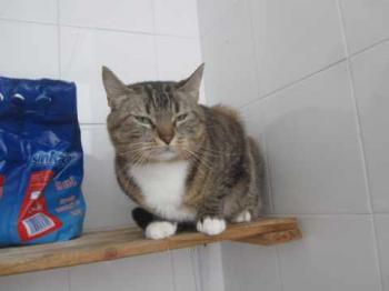 Ohne Namen 5722 Bild von Maya