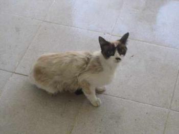 Bild von Florina