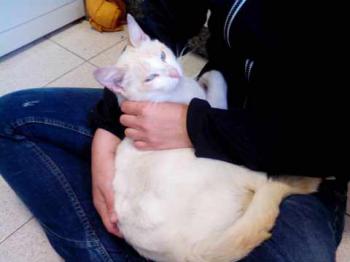 Alex Bild von Alex