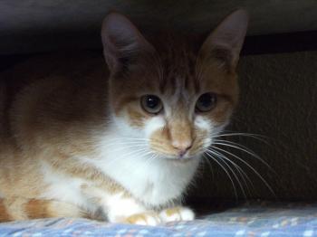 Fillipo Bild von Filippo