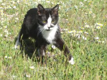 Benjamin Bild von Benjamin