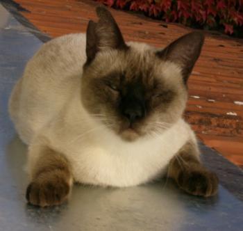 Lenny Bild von Lenny