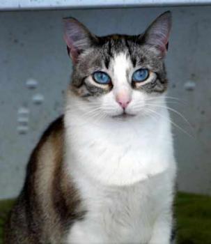 Bild von Sissi