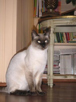 Lenny Bild von Lenny