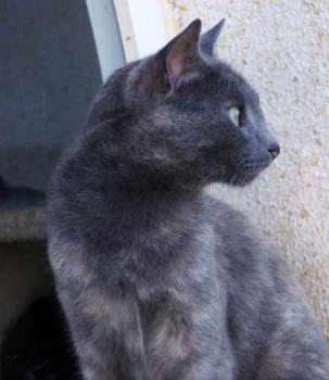 Emmi Bild von Emmi