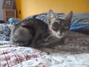 Bild von Dora