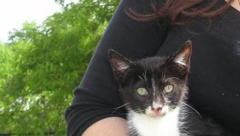 Blacko Bild von Blacko
