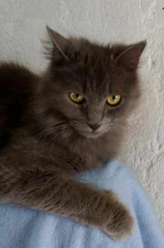 Bild von Yasmin