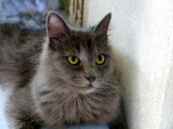 Bild von Yasmin