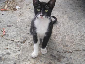 Blacko Bild von Blacko