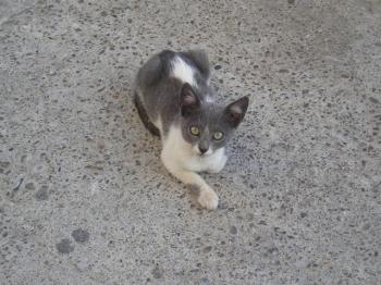 Katty Bild von Katty