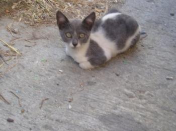 Katty Bild von Katty