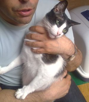 Bruce Bild von Bruce