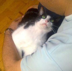 Bruce Bild von Bruce