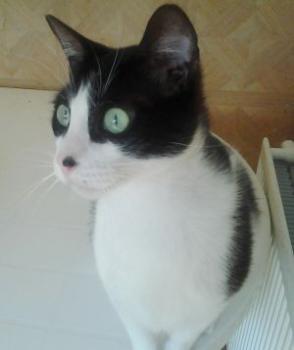 Bruce Bild von Bruce