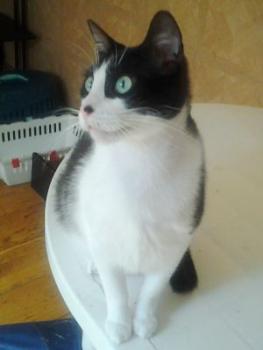 Bruce Bild von Bruce