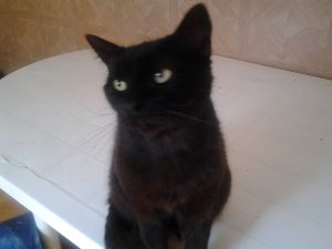 Nani Bild von Nani