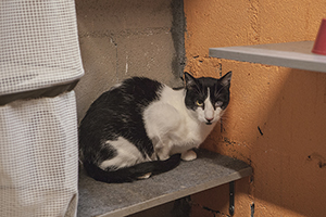 Pablo Bild von Pablo