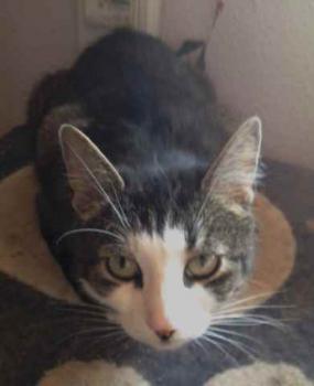 Bild von Brunhilde