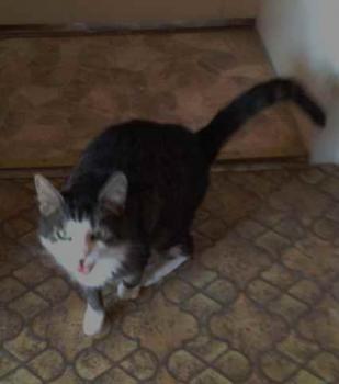 Bild von Brunhilde
