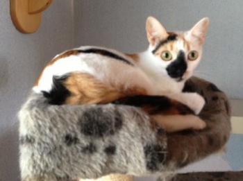 Nena Bild von Nena