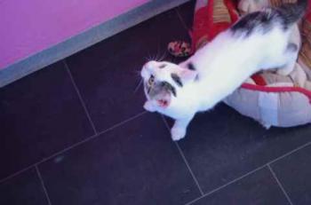 Frieda Bild von Frieda