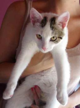 Frieda Bild von Frieda