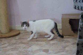 Trini Bild von Trini
