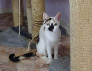 Nena Bild von Nena
