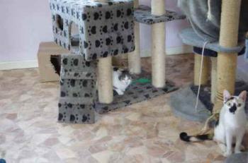 Nena Bild von Nena