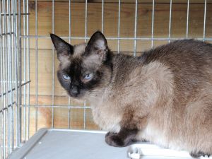 Bild von Bettina