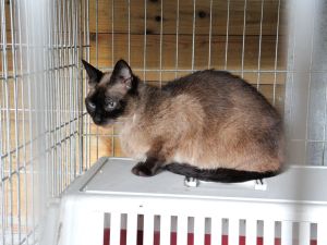 Bild von Bettina