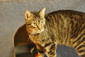 George Bild von George