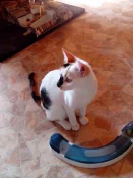 Nena Bild von Nena