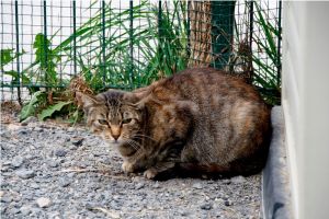 Tanita Bild von Tanita