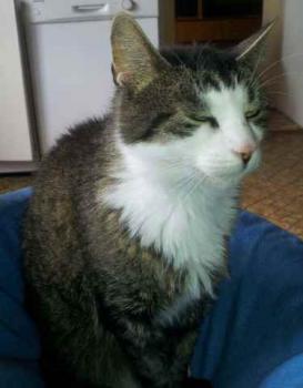 Bild von Brunhilde