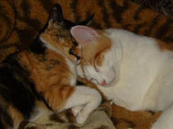 Dorotea und Foster Bild von Foster