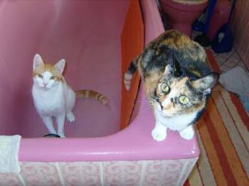 Foster und Dorotea Bild von Foster