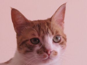 Quini Bild von Quini