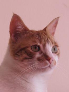 Quini Bild von Quini