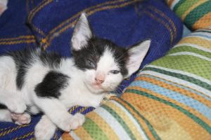 Jimena Bild von Jimena