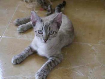 Momo Bild von Momo