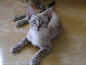 Momo Bild von Momo