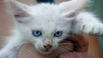 Mischa Bild von Mischa