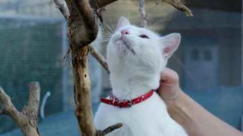 Coton Bild von Coton